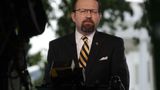 Gorka: Leftists are 'hostages to their own ideology'