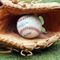 Judge denies motion for a preliminary injunction in suit over MLB yanking All-Star game from Atlanta