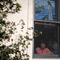 ICE Withdraws Big Fines for Immigrants Living in Churches