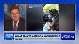 What Makes America Wonderful? A Patient and Loving Pet Owner