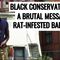 Black Conservative Has A Brutal Message For Rat-Infested Baltimore!