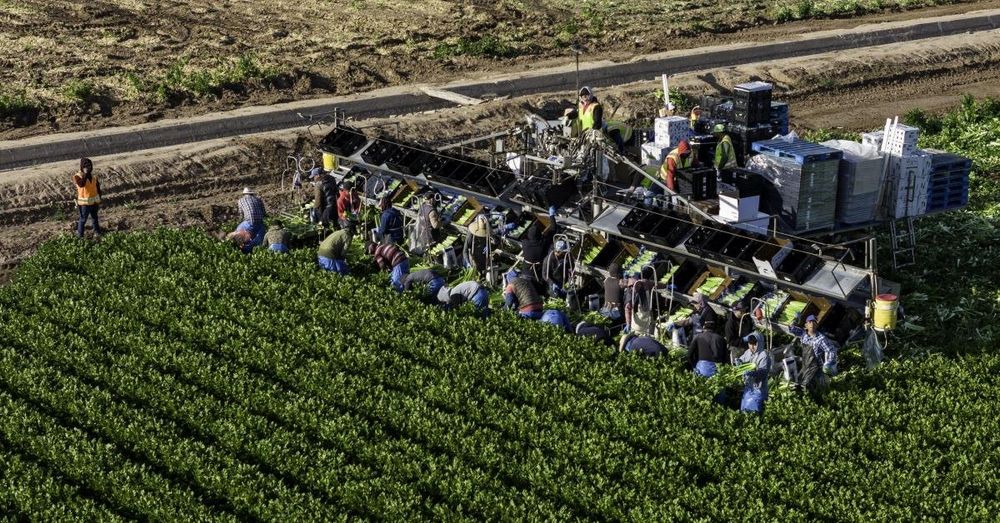 States, farmers file suit against Biden admin over rule allowing temporary farm workers to unionize