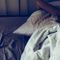 Researchers say they’ve successfully communicated with individuals inside their dreams