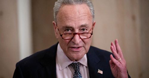 Schumer says no gun-control vote anytime soon: 'Americans can cast their vote in November'