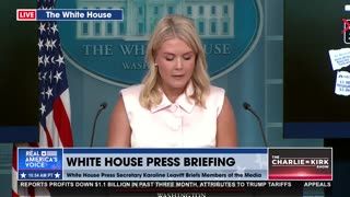 PROVED: FALSE CLAIMS ON RUSSIAGATE