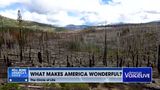 National Park Bounces Back After Massive Fire