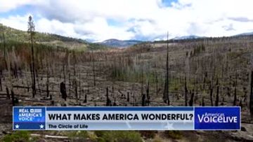 National Park Bounces Back After Massive Fire