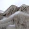 Buffalo arrests 8 looters amid 'blizzard of the century'