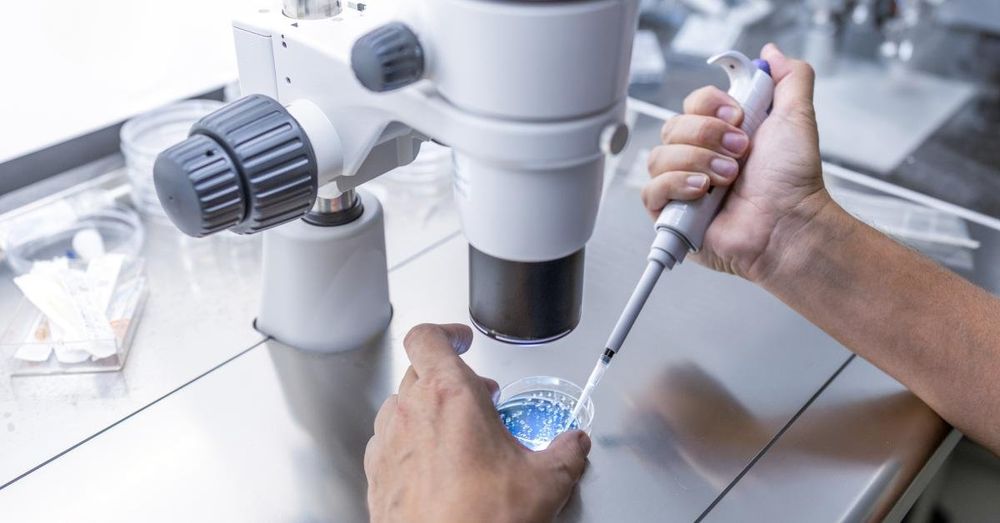 Federal money trail leads to Chinese scientists charged in shocking pathogen plot, memos show