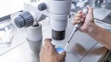 Federal money trail leads to Chinese scientists charged in shocking pathogen plot, memos show