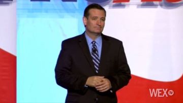 Sen. Ted Cruz: Vote Harry Reid out