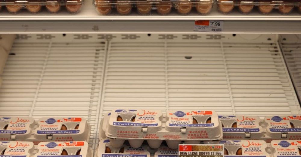 Dozens of people across 7 states get sick from salmonella tied to eggs, federal health officials say