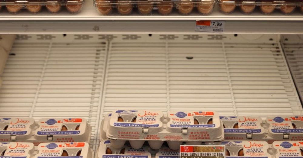 Price of eggs hits record high, up 150% from year ago in Midwest, report