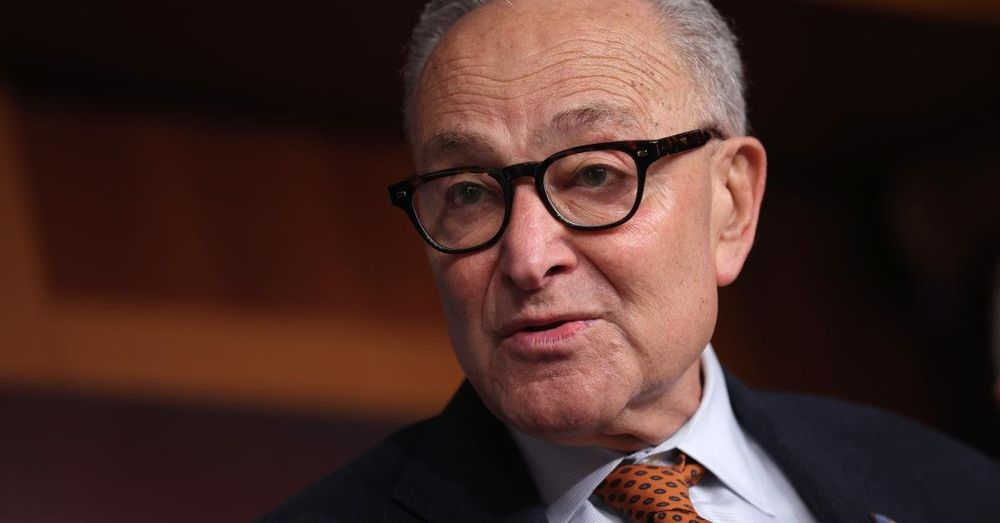 Schumer urges Trump to withdraw ICE from US cities during rare White House meeting