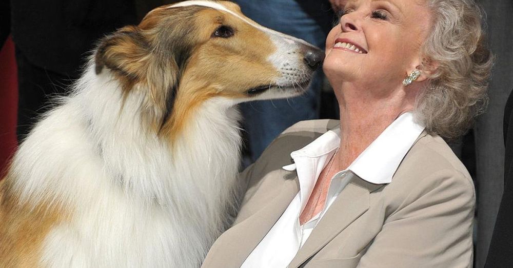 Actress June Lockhart of Lassie dies at 100