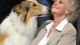 Actress June Lockhart of Lassie dies at 100