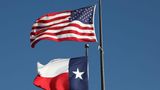 Texas legislature passes bill banning abortions once fetal heartbeat detected