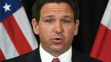 Gov. DeSantis administration to give $2M grant to SeaPort Manatee after hurricane damage