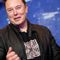GETTR CEO Jason Miller doubts Musk can change 'culture' of 'rotting fish' Twitter