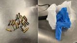 TSA agents find diaper loaded with 17 bullets in New York airport