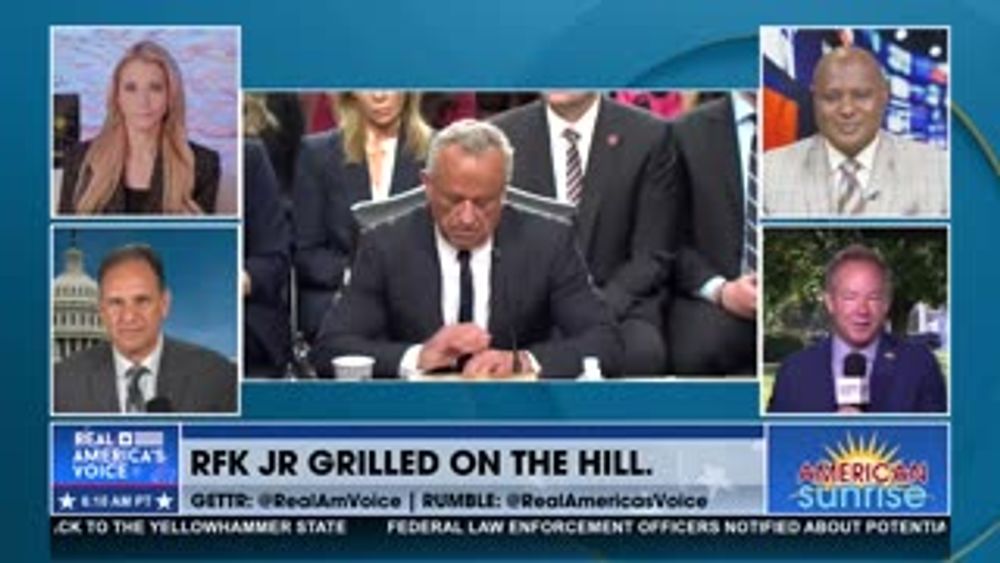DEMS LOSE IT ON RFK, JR.