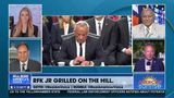 DEMS LOSE IT ON RFK, JR.