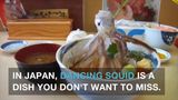 Dancing squid in Japan