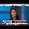 Chris Jansing discusses Wendy Davis