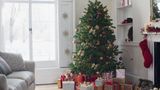 Multiple states face Christmas tree shortage this year