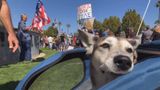 Chasing Freedom in Fresno CA at the Recall Gavin Newsom Rally