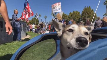 Chasing Freedom in Fresno CA at the Recall Gavin Newsom Rally