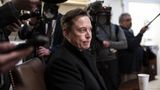 Musk: 'DOGE is just becoming the whipping boy for everything'