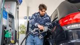 Energy prices down after 100 days of Trump, as promised, but could spell trouble for companies