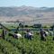 Republicans slam DHS fee hikes on farmers to finance asylum system