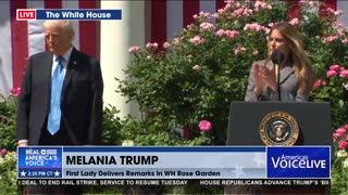 FLOTUS: THE TAKE IT DOWN ACT