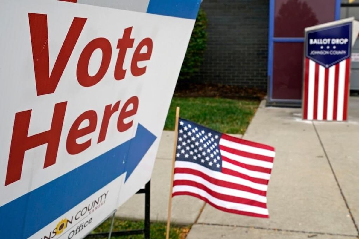 Motivations Vary as African Diaspora Vote in US Election