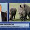 Glenn Youngkin REVERSES POSITION on Mask and Vaccine Mandates