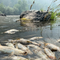 Tribe: California Wildfire Near Oregon Causes Fish Deaths