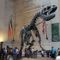 Is America On The Precipice of Extinction?