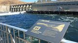 Federal judge agrees to pause litigation over Snake River dams