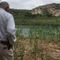 As Washington shirks federal border enforcement role, burden falls to frontline sheriffs
