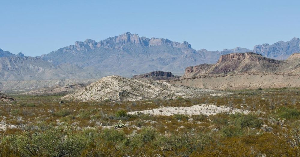 Texas land office says they blocked covert Chinese attempt to lease mineral assets