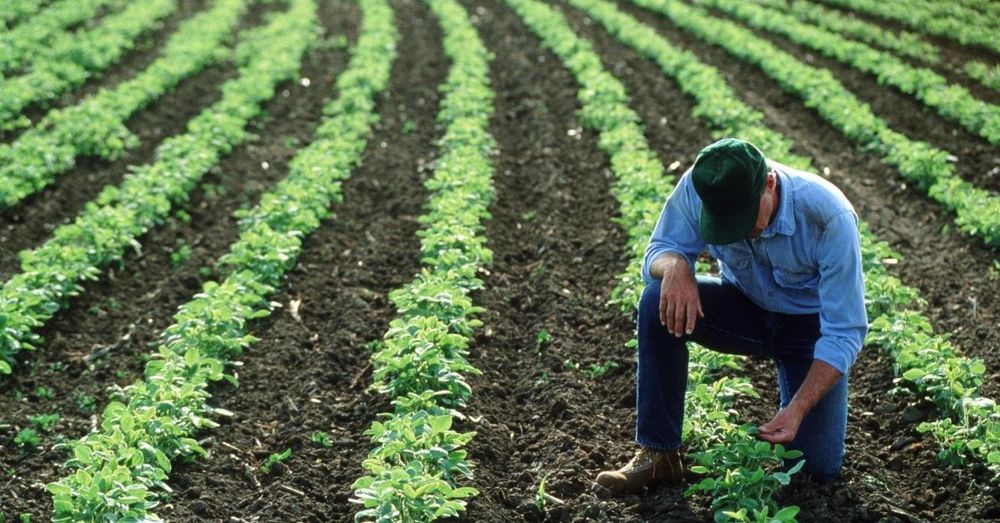USDA paid to study queer farmers, Latinx masculinity, more on taxpayer dime