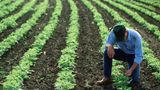 PA bill passes exempting farmers from unemployment tax for migrants