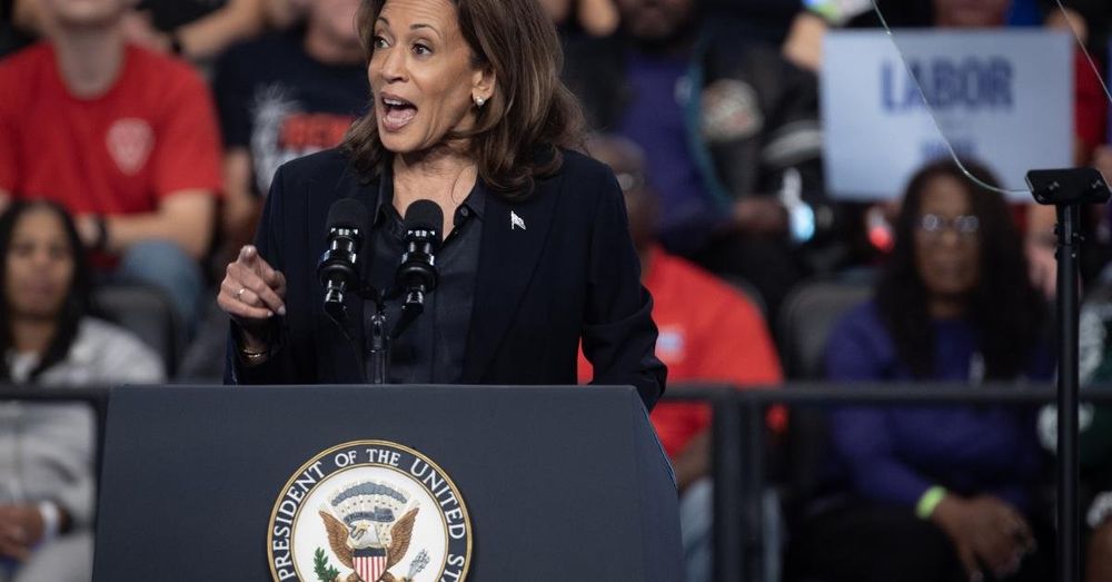 Kamala Harris' book publisher in 'damage control mode' after plagiarism accusations, reporter says