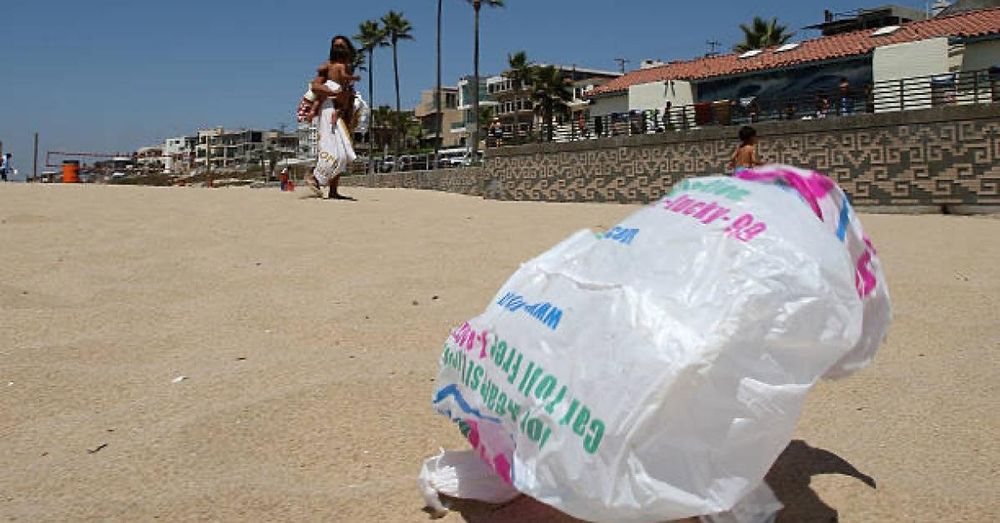 Multiple analyses find California plastic bag ban is failing