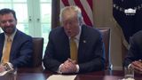 President Trump Participates in the White House Opportunity and Revitalization Council Meeting