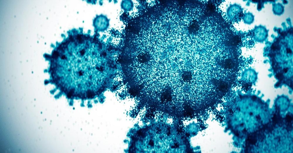 WHO issues alert as Nipah virus outbreak prompts quarantines in Asia