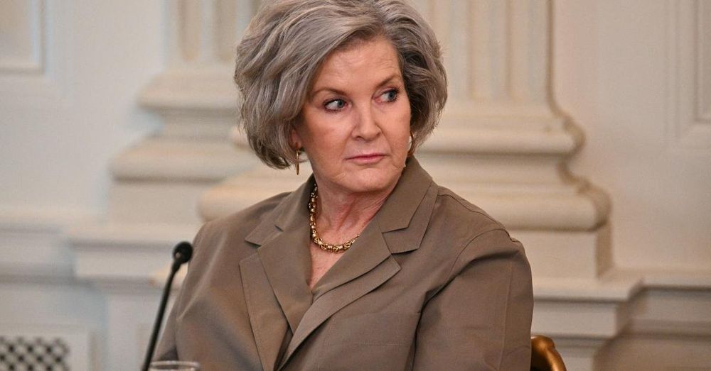 Wiles claims Trump will 'campaign like it's 2024 again' during next year's midterms