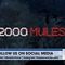 Dinesh D’Souza’s New Film EXPOSES Ballot Harvesting Mules